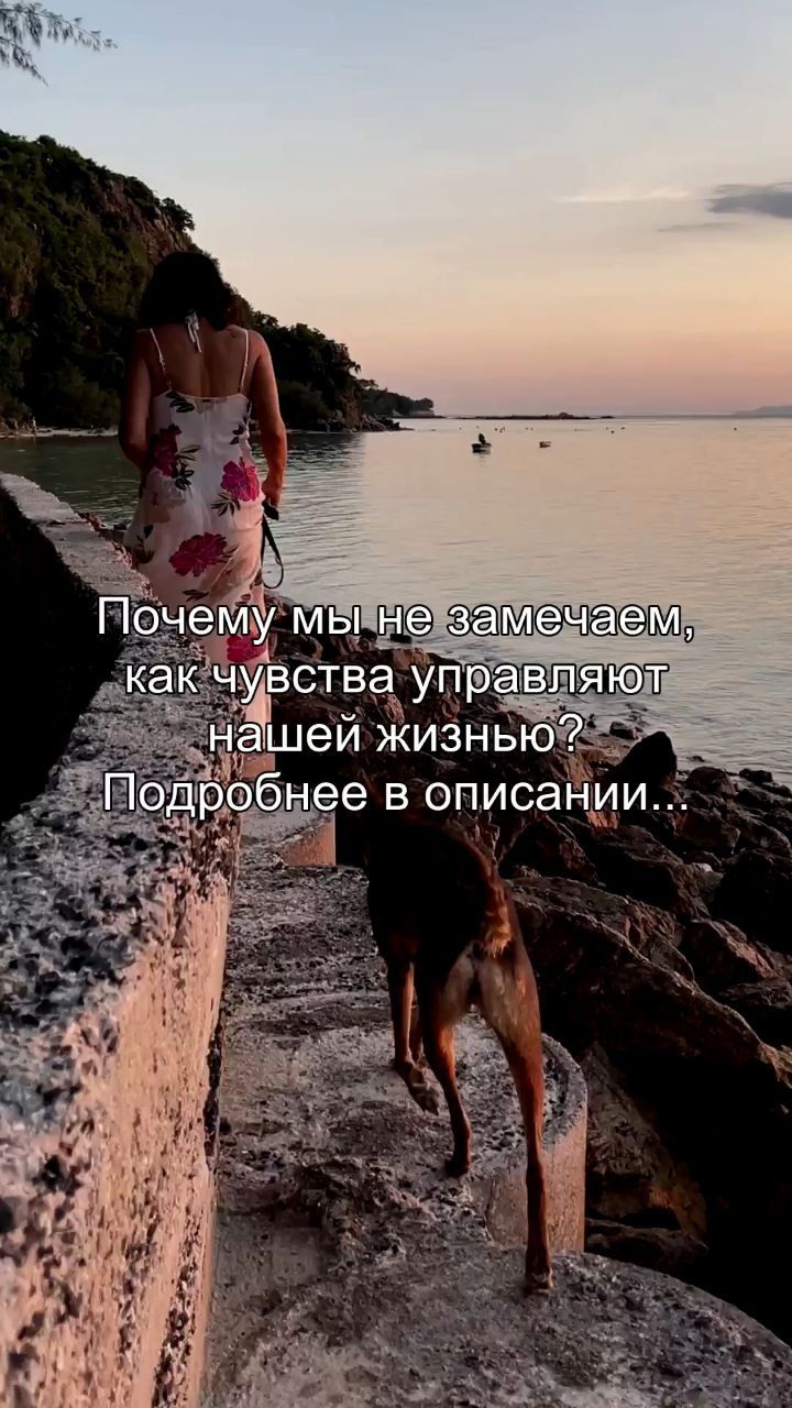 artem_areels в LOOKY. #чувства,#эмоции,#осознанность,#психология,#управление. Ты думаешь, что прин...