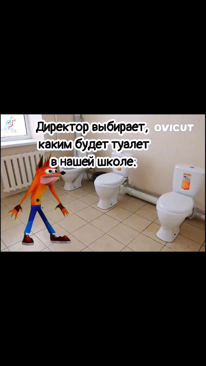 Космический Пёс в LOOKY — публикация