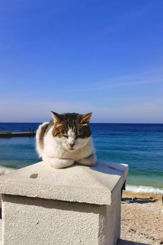 utoch_ka в LOOKY. . 