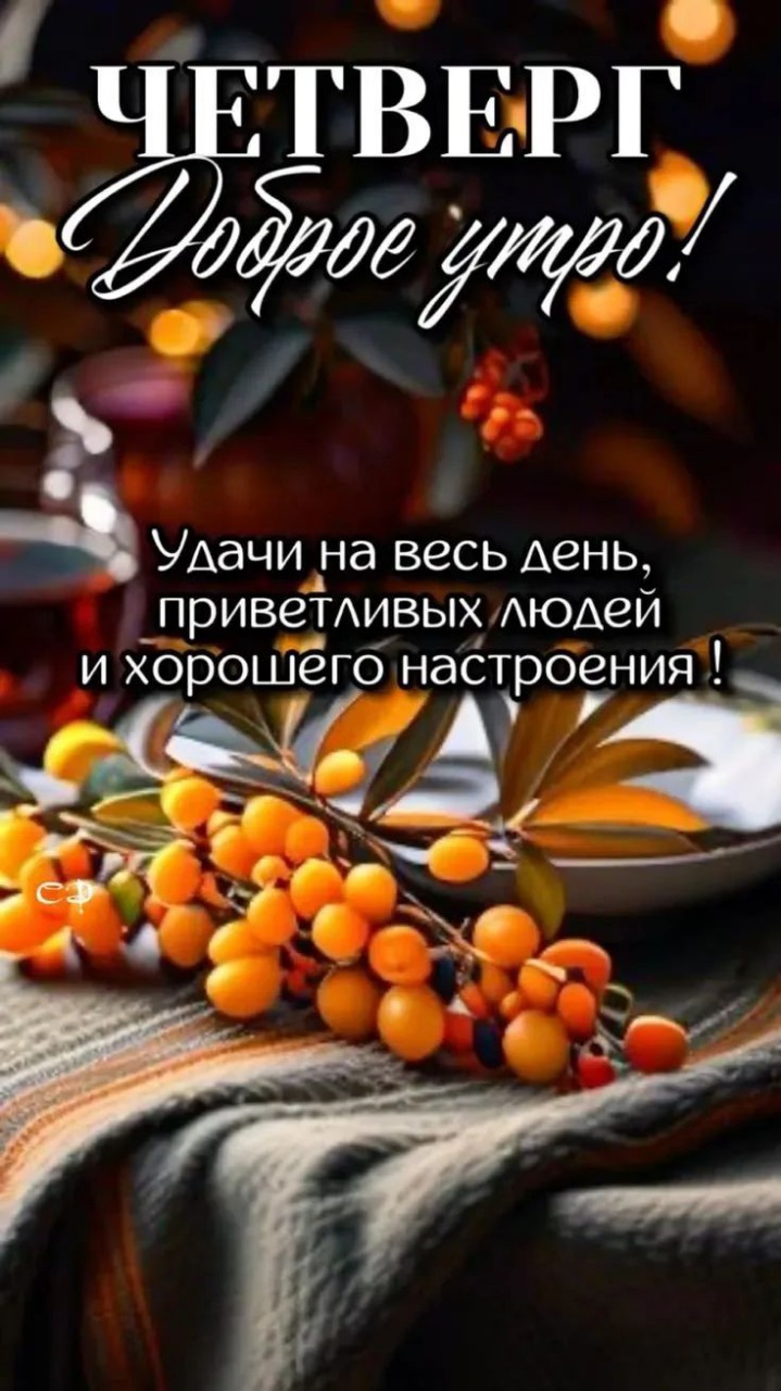 Сириус в LOOKY — публикация