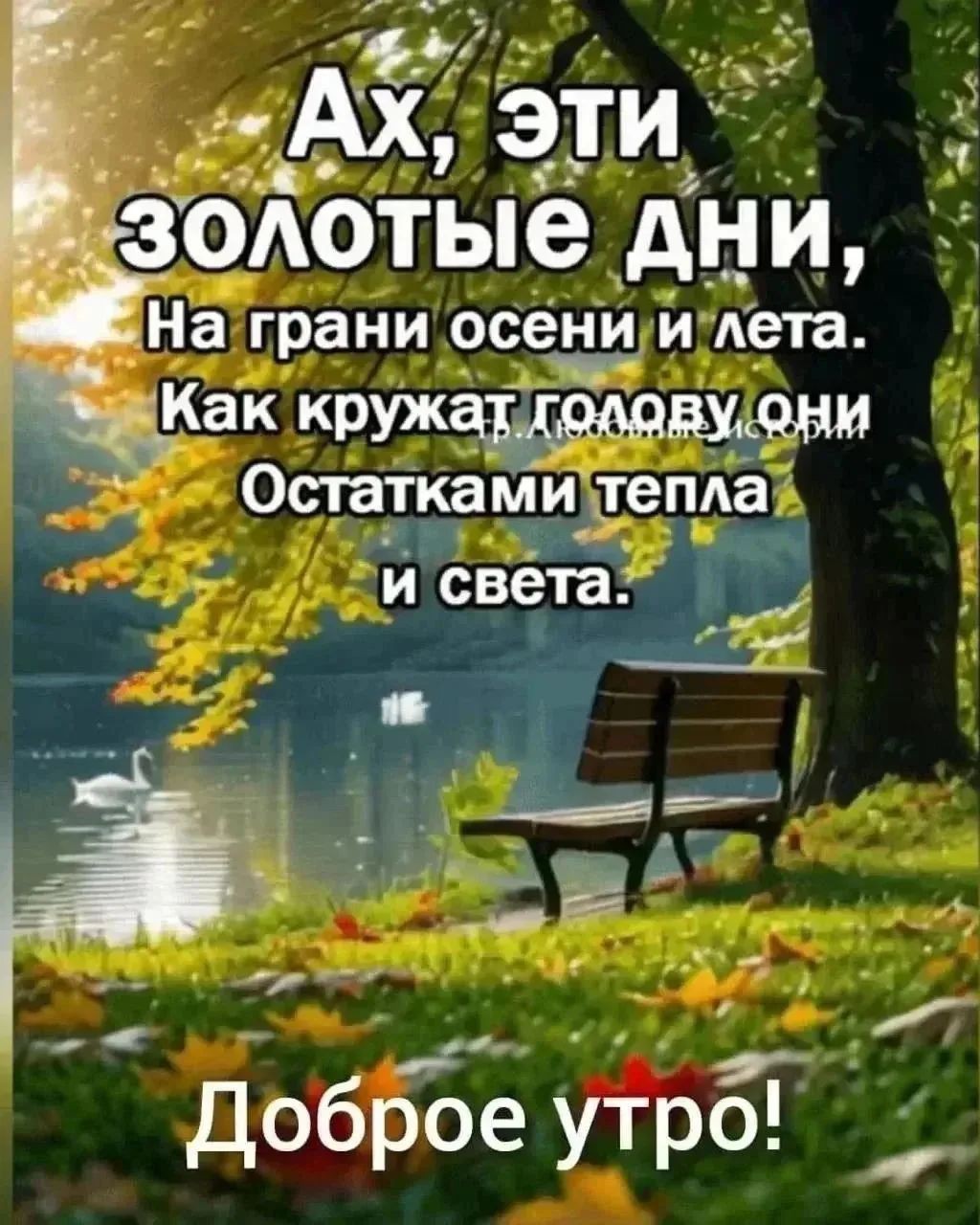 Сириус в LOOKY — публикация