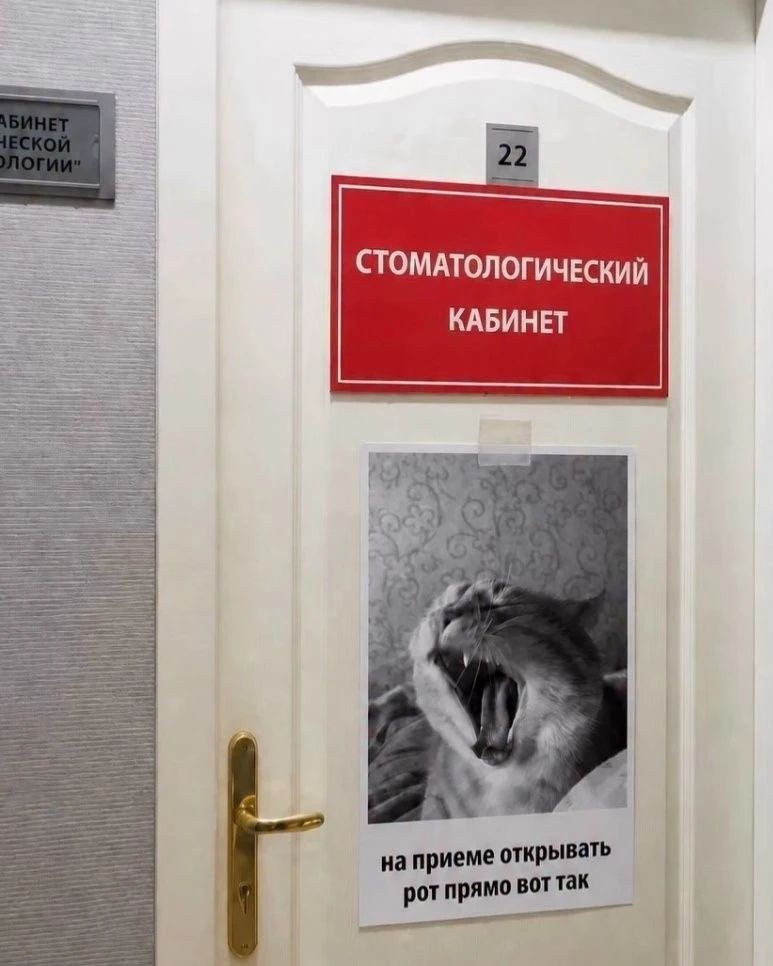 Evgeniy_Smexov в LOOKY — публикация