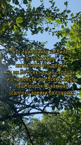 nika в LOOKY. #пророк,#ислам,#религия,#muslim,#islam,#like,#природа,#nature,#love,#религияислам. А вы видели во сне П...