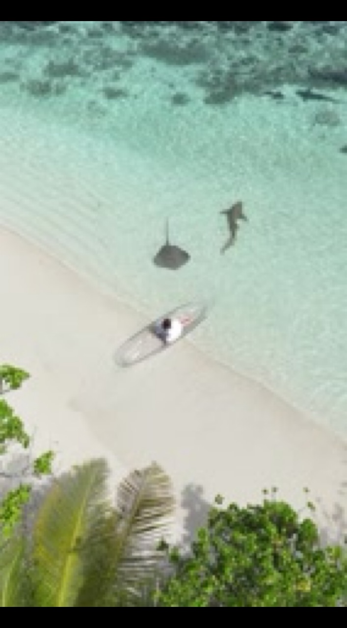 Юлия в LOOKY. #maldives,#travel,#vacation,#paradise. Пусть в памяти остан...