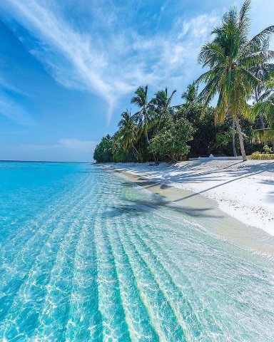 Юрист - Решала РФ - Мудрый Юрист в LOOKY. #Ипотечный_юрист. Июнь. 
Лето 🌞🌴🏄🎇...