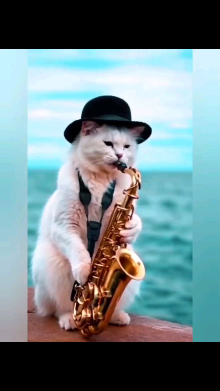 НАТАЛЬЯ  MANEKI NEKO in LOOKY. . 