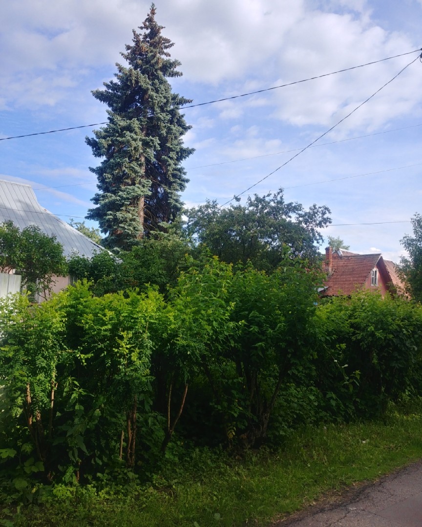 Looky_1682094456951 в LOOKY — Крутая притча.

Жили-были столяр со своим сыном, который был