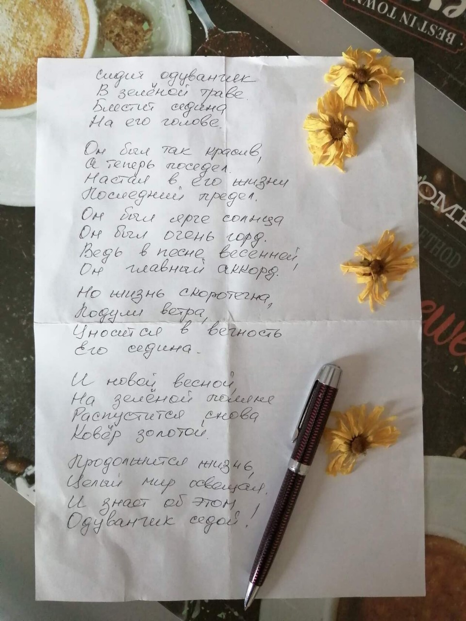 LushnikLena в LOOKY — Я очень люблю одуванчики, они появляются вдруг, повсюду и за