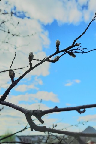 SerenaNB в LOOKY. #майские_луки. Природа ☁️🌱
#майски...