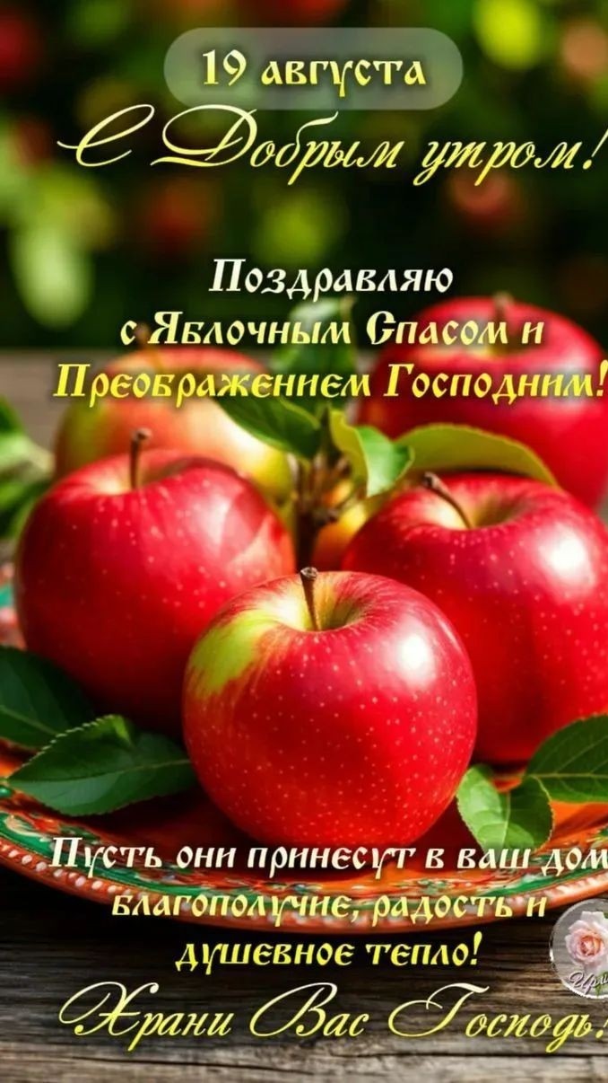 Looky_177376094385359
