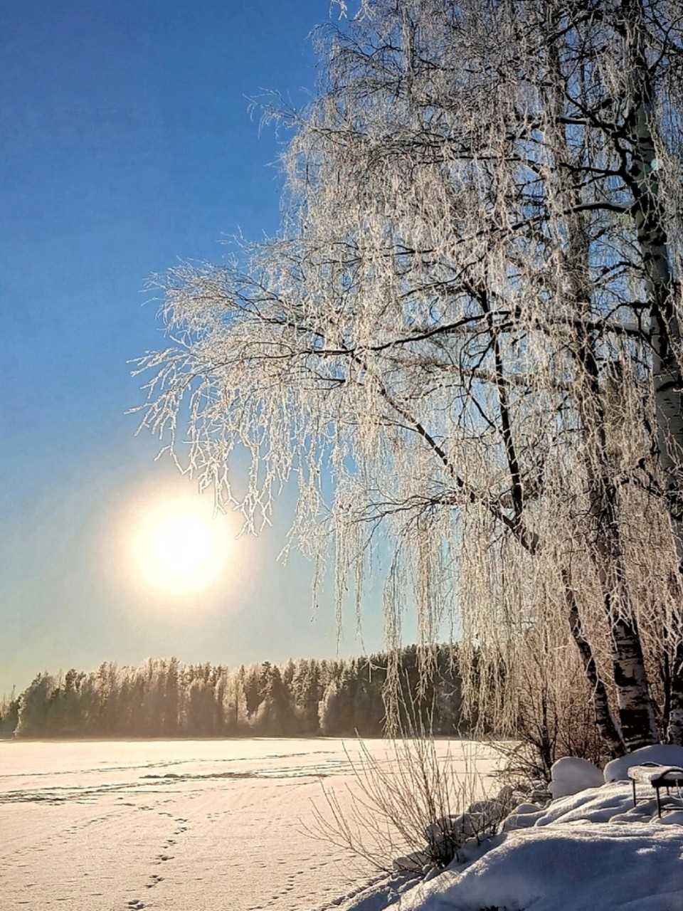 Виктор в LOOKY — фото 1