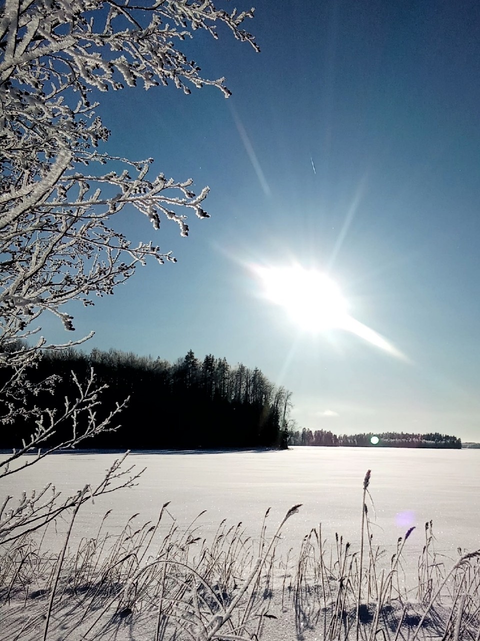 Виктор в LOOKY — фото 2