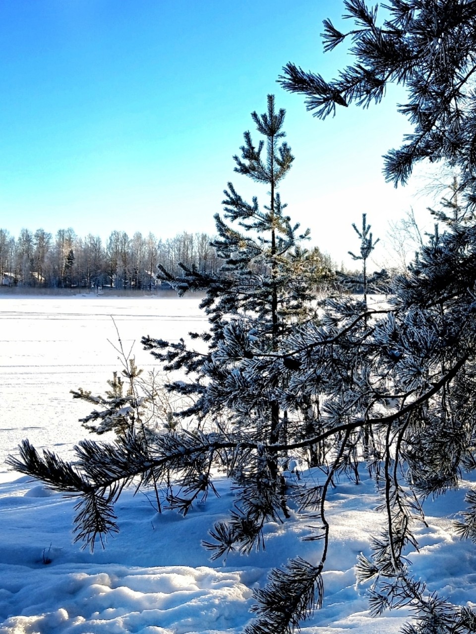 Виктор в LOOKY — фото 3