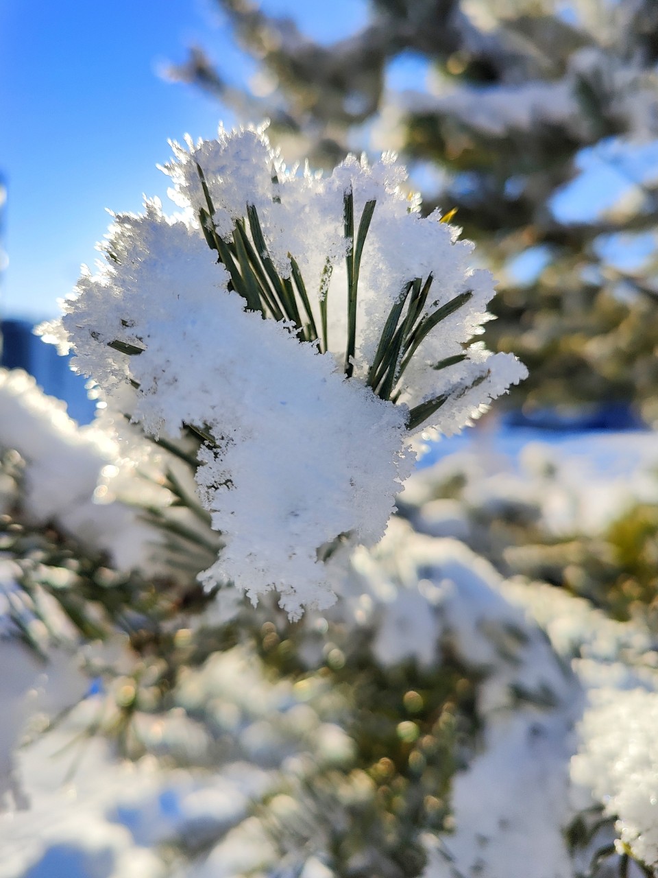 Виктор в LOOKY — фото 4