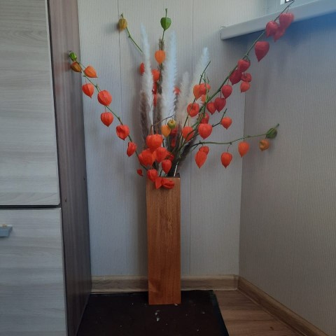 michael_mick71 в LOOKY. . Физалис переехал с д...