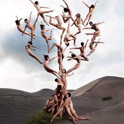 janumali556 в LOOKY. #tryit. #tryit
