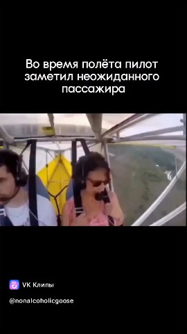 sobolev_aldm в LOOKY. . 