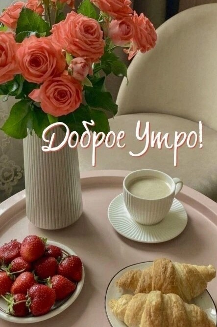 Сириус в LOOKY — публикация