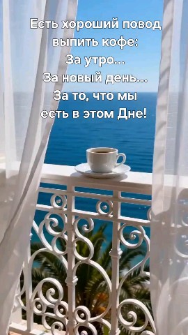 ВОЛК СЕРЫЙ в LOOKY — публикация