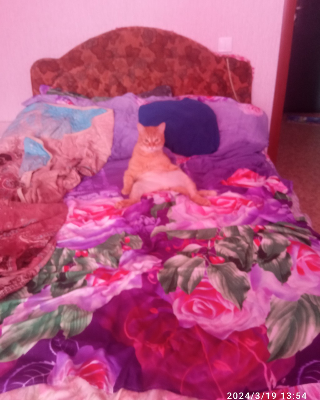 Юлия in LOOKY. . 