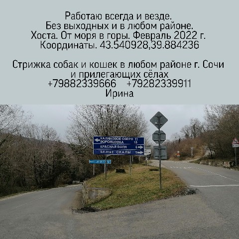 Looky_1676317000260 в LOOKY. #стрижкасобак,#одеждадлясобак,#ШИВ,#Сочи,#фотография,#стрижкасобакСочи,#стрижкакошекСочи,#заповедник,#горы,#работакакэкскурсия. Моя Малая Родина - м...
