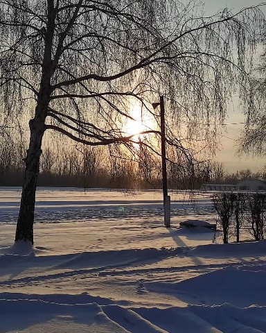 tatisanna в LOOKY. #лошады,#ипподром. #лошады #ипподром