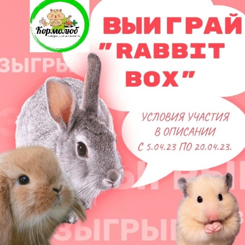 Looky_1672852342253 в LOOKY. #конкурс,#зарепост,#розыгрыш,#вкрозыгрыш,#кормолюброзыгрыш. ЗАВТРА РОЗЫГРЫШ, УСП...