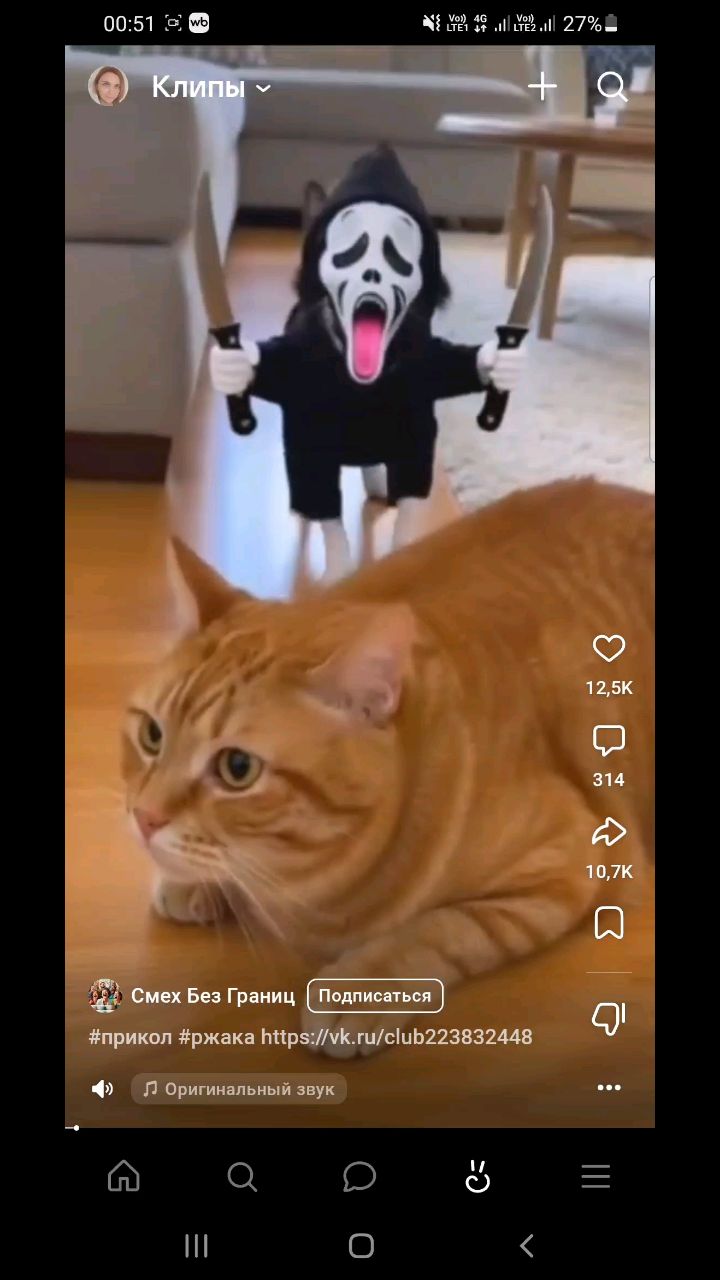 Настюша в LOOKY. . [#животные ](животны...