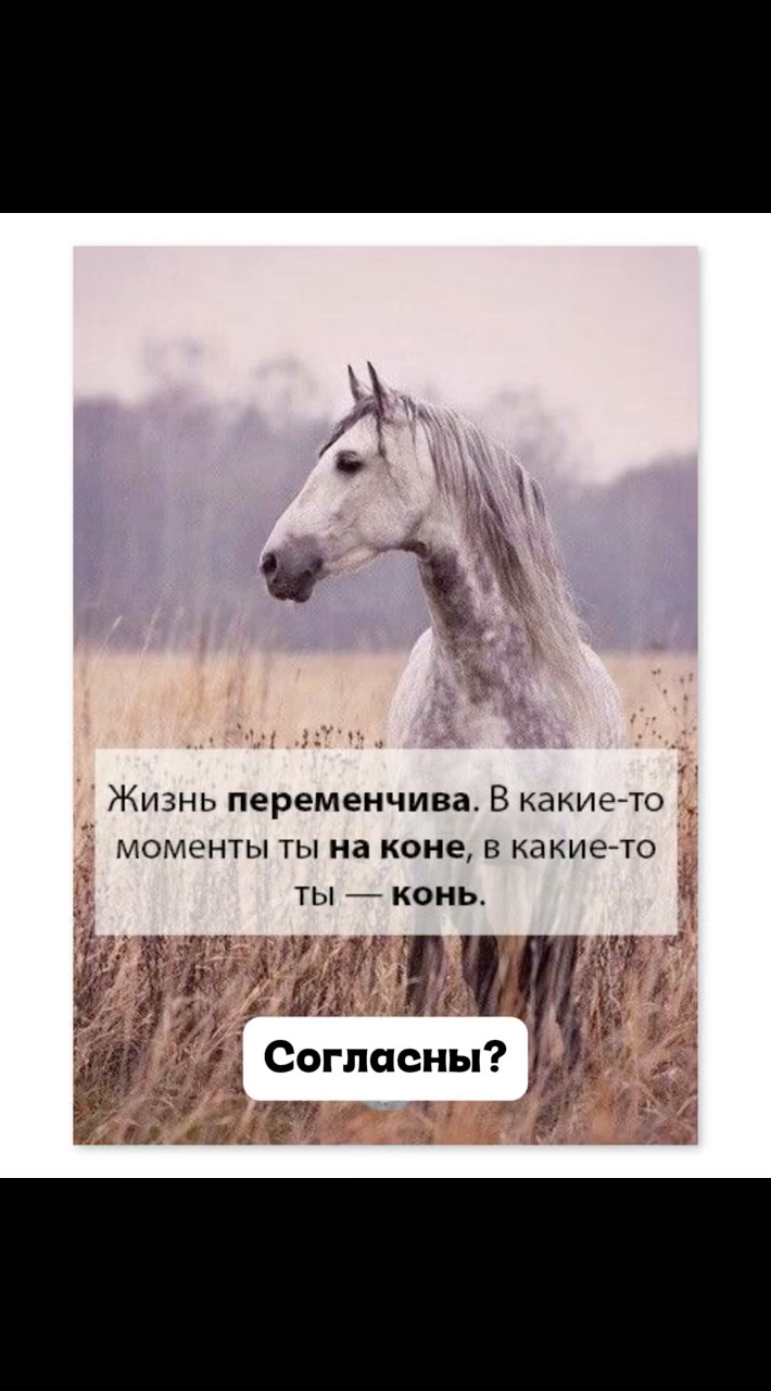Вероника Квашнина в LOOKY. . Согласны?