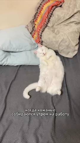 Вячеслав Кузнецов в LOOKY — И хорошего дня