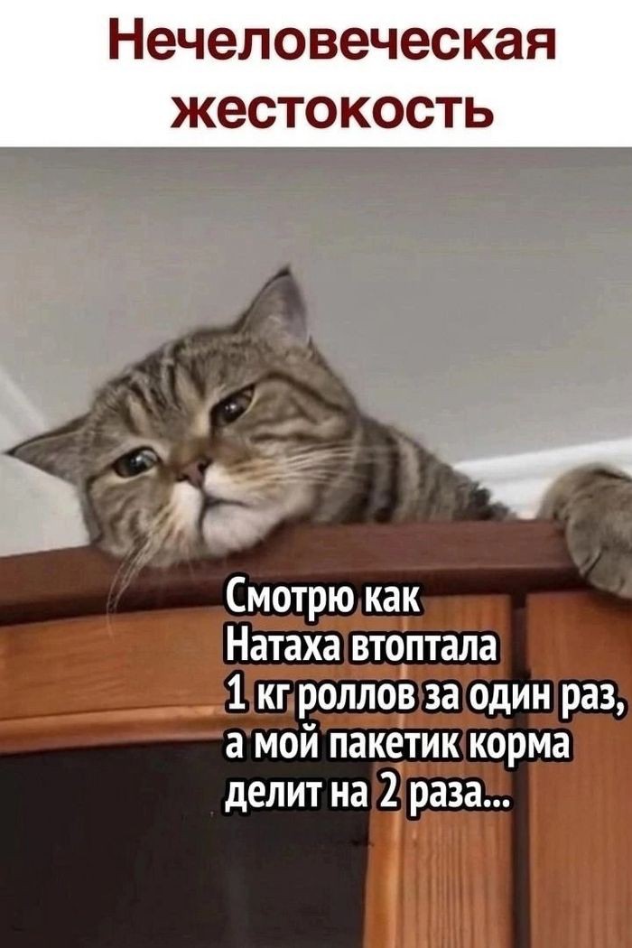 Светлана в LOOKY — публикация