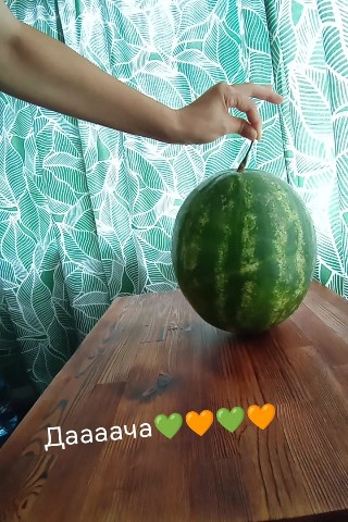 LushnikLena в LOOKY. #дача,#отдых,#хорошо. Оранжевое настроение...