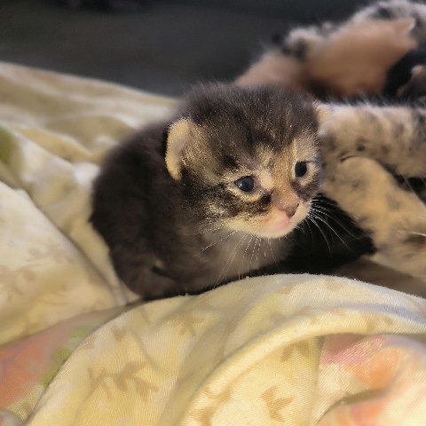 lia_kropppy в LOOKY. . Малыш 🥰