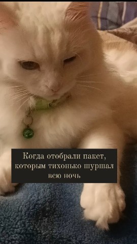 Looky_1699358471876 в LOOKY. . Вместо тысячи игруше...