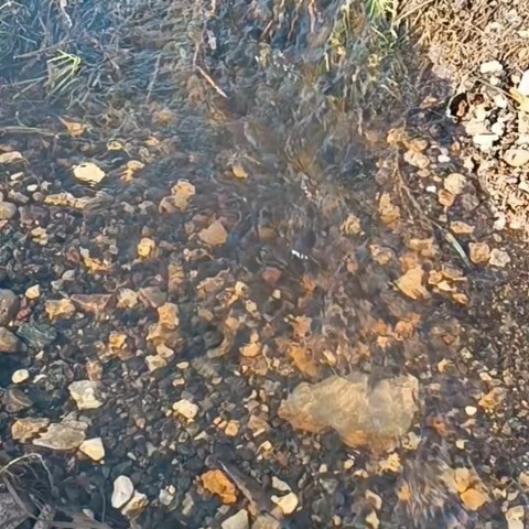 Елена Малаева в LOOKY. . 🌱весна