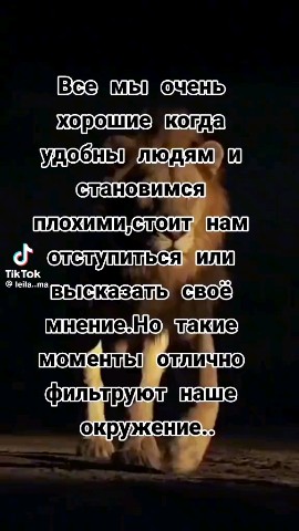  в LOOKY — публикация
