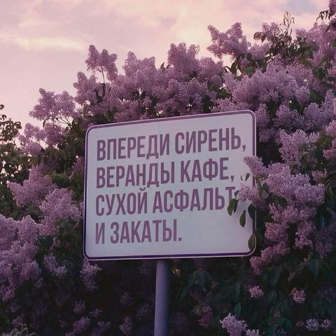 Looky_177241737900136 в LOOKY. . Лето.. ❤️‍🩹