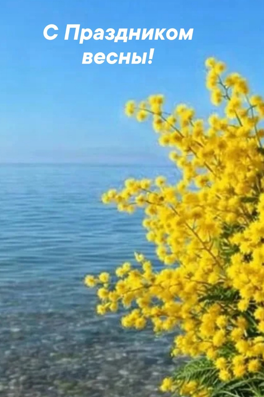 s_sobakoy_na_more в LOOKY — публикация