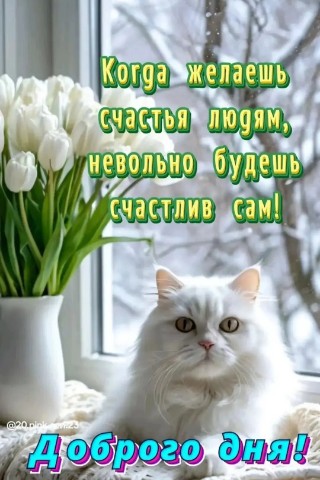 Галина Аллерт в LOOKY. . 