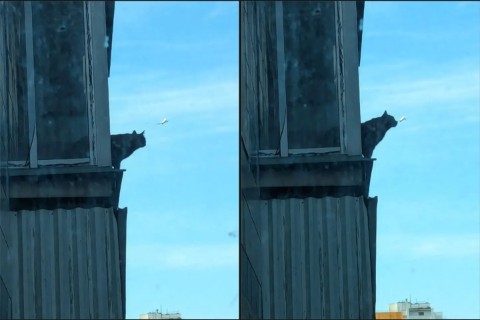 sokolovoxana в LOOKY. . 