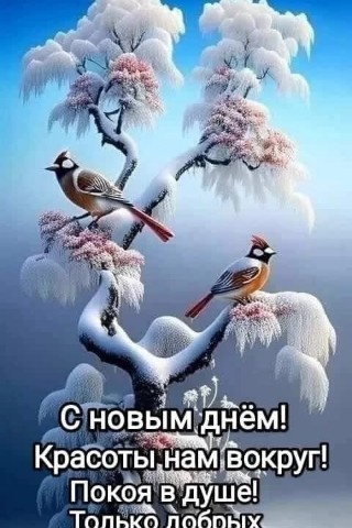 Галина Аллерт в LOOKY. . 
