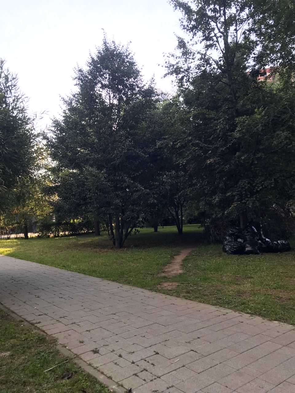  в LOOKY — публикация