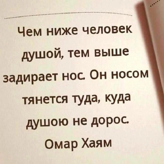  в LOOKY — публикация
