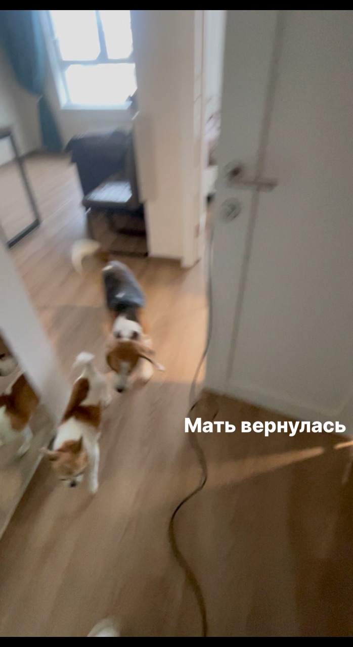 Looky_178775139001591 в LOOKY. . Мать вернулась