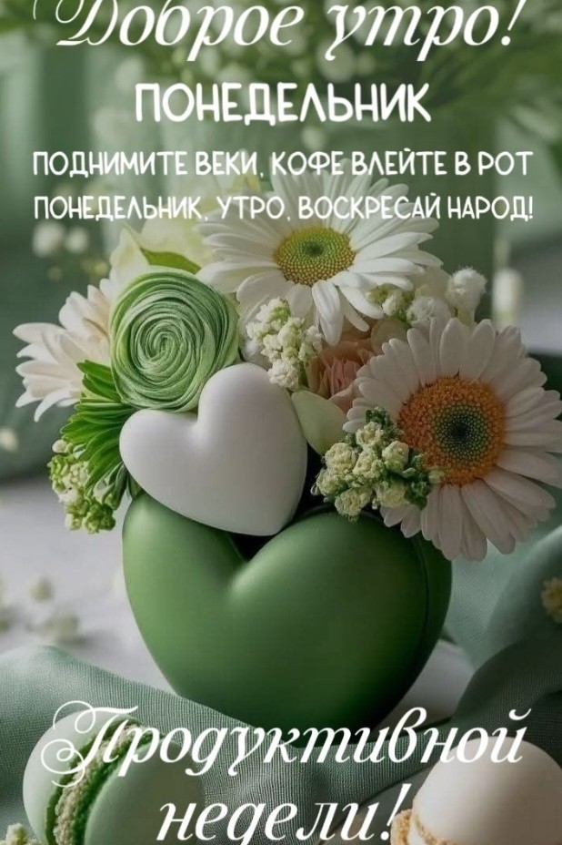Таролог  Рена Эльф в LOOKY — публикация