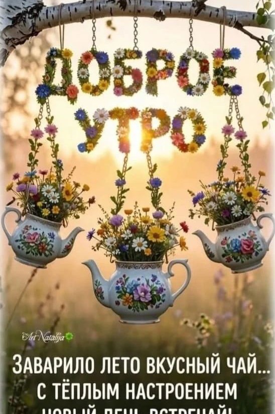 Сириус в LOOKY — публикация