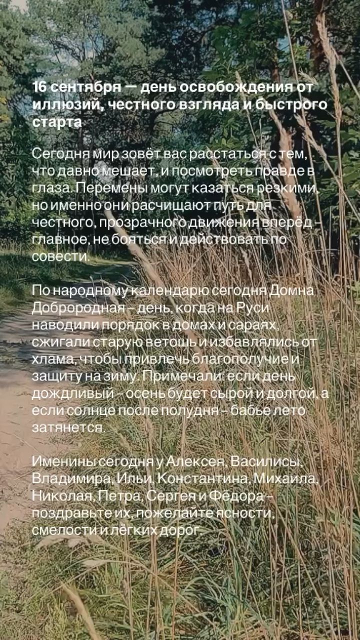 valkarat в LOOKY — публикация