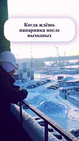 Looky_176587489251124 в LOOKY. . Когда ждёшь напарник...