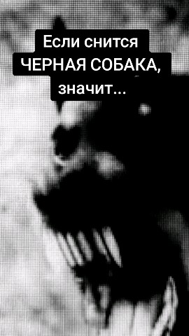 ester_vedma в LOOKY. . Если сниться черная ...