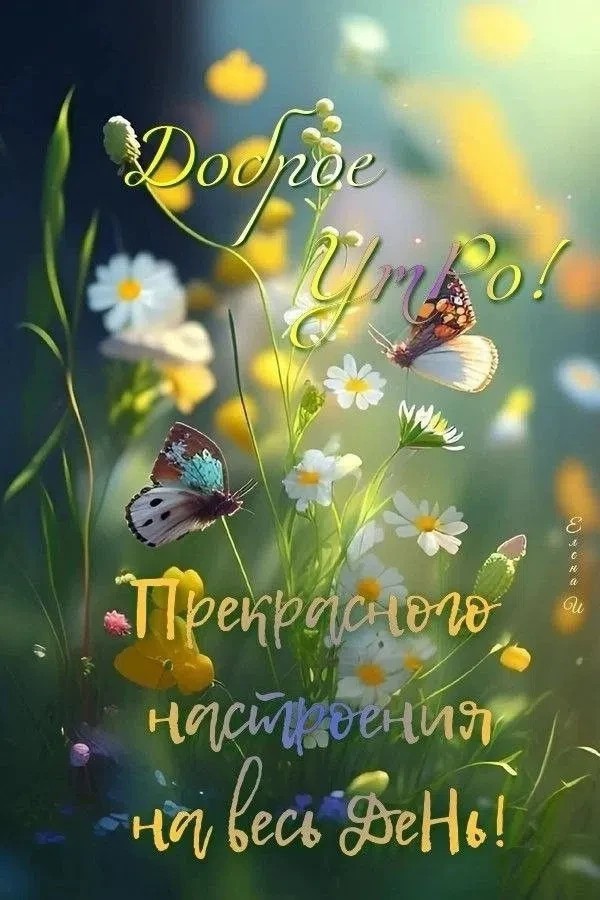 Сириус в LOOKY — публикация